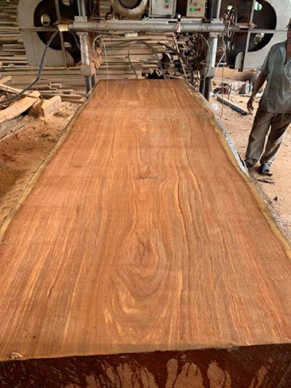 Gỗ gõ đỏ pachy là gì?